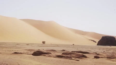 Dune in desert Stock Footage 281168529