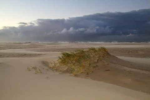 Dune development on stormy beach Stock Photos