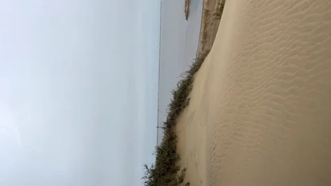 Dune driving in desert. White SUV car off road travel in Africa. Vidéo 168909154