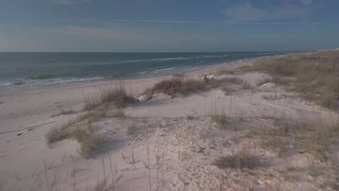 Dune Drone Flyover on a Sandy Beach Video Stock Footage 261482012