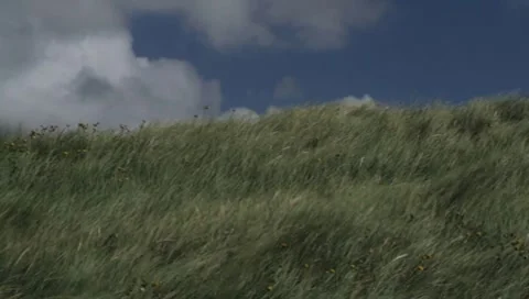 Dune Stock-Footage 8525319