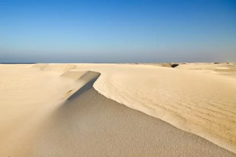 Dune forming on beach Foto stock