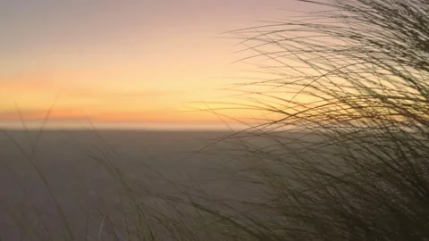 Dune grass abstract composition with sunset Stock Footage 151327763