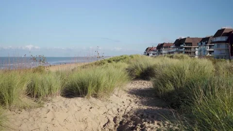 Dune with Grass and beach front houses at atlantic ocean in Knokke Belgium Video stock 329669620
