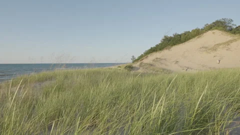 Dune Grass Blowing in the Wind at Indiana Dunes - 4K Slow Motion 스톡 동영상 247215937