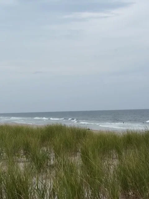 Dune Grass Bushes Overlooking Calm Ocean Waves Video stock 342268360