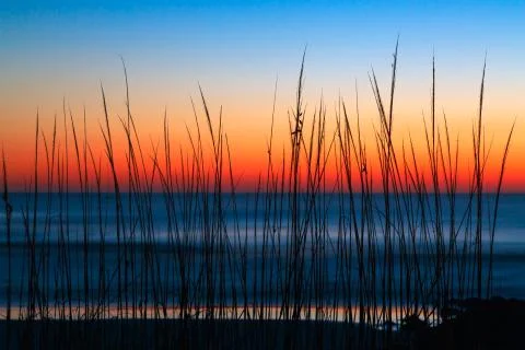 Dune Grass Dawn Stock Photos