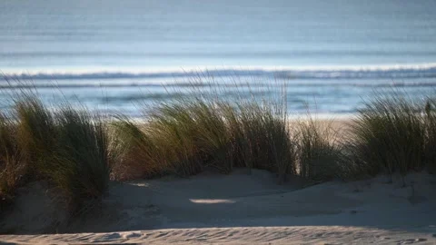 Dune grass foreground with waves rolling ashore Vidéo 329205103