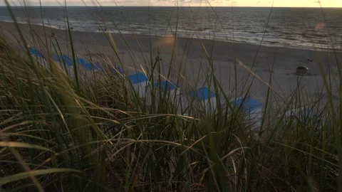Dune grass is moving in the wind 库存影片 149266610