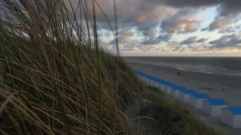 Dune grass is moving in the wind 库存影片 149266626