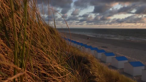 Dune grass is moving in the wind Stock Footage 149266638