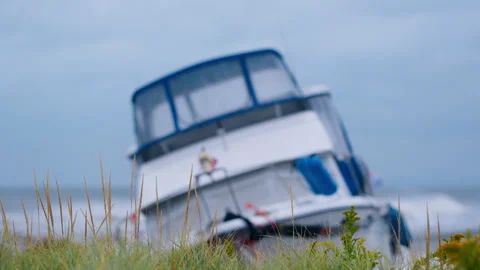 Dune grass, selective focus with a beached motor yacht in the background. Green Stock Footage 346839420