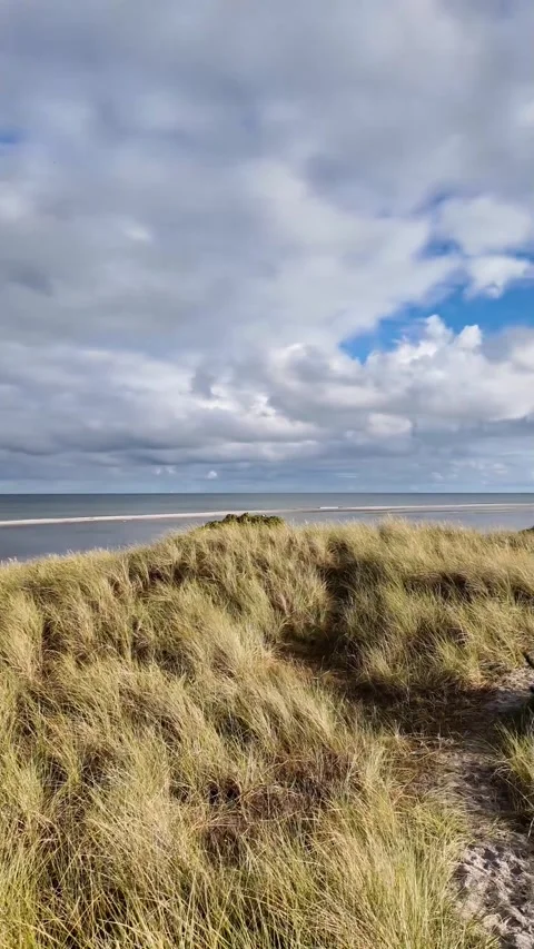 Dune Grass Swaying at Bisnap Strand Kattegat, Denmark Stock Footage 344904095