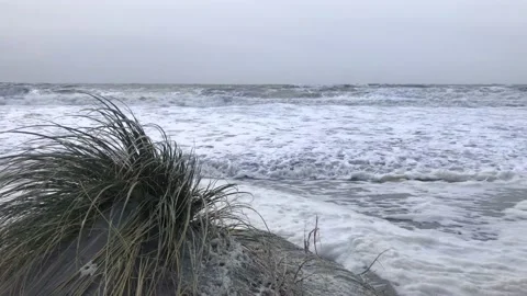 Dune grass in the wind in front of a stormy sea Video stock 167680252
