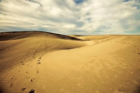 Dune Stock Illustration