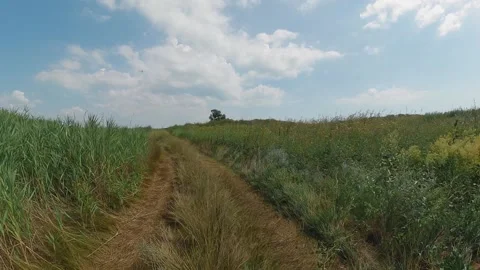 Dune Jeeping 스톡 동영상 235830364