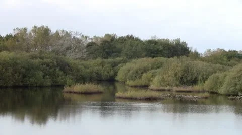 Dune lake Video stock 12425587