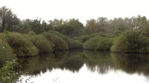 Dune lake Video stock 12425791