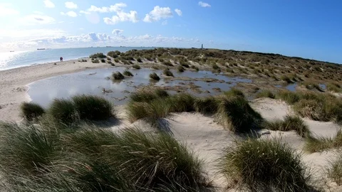 Dune landscape with beach grass, North Sea Video stock 118223890