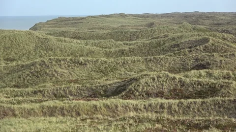 Dune landscape with beach grass, Thy National Park Stock Footage 118462635