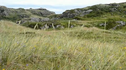Dune landscape Stock Footage 20443020