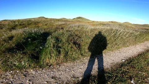 Dune landscape with marram grass, pan, Thy National Park Stock Footage 118246084