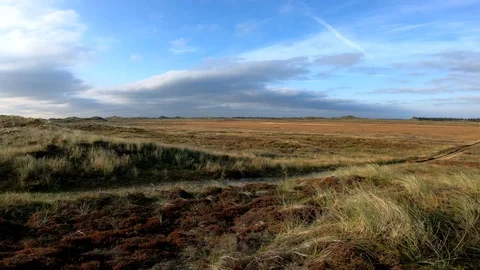 Dune landscape with marram grass, pan, Thy National Park Stock Footage 118246419