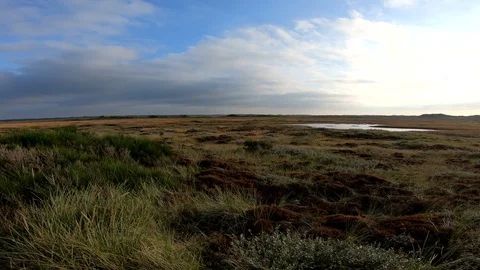 Dune landscape with marram grass, pan, Thy National Park Stock Footage 118246532