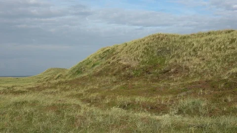 Dune landscape with marram grass, Thy National Park Stock Footage 118463532