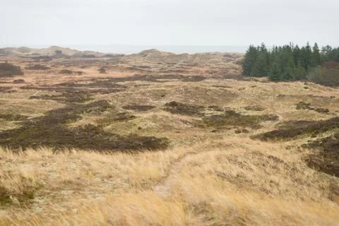 Dune landscape Stock Photos
