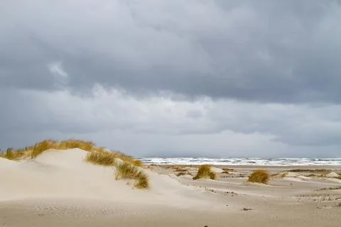 Dune landscape Stock Photos