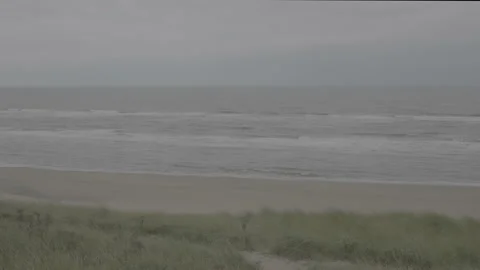 From Dune to Ocean - LOG Stock Footage 161013710