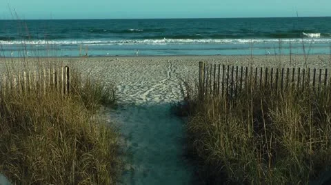Dune path to a beautiful beach Stock Footage 11227339