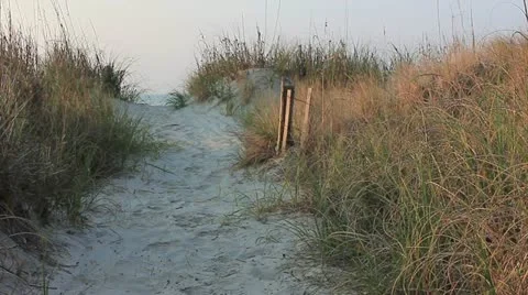 Dune path Stock Footage 11145813