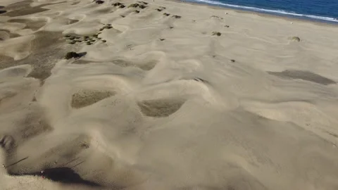 Dune Patterns and Ocean Views from Above Stock Footage 231631004