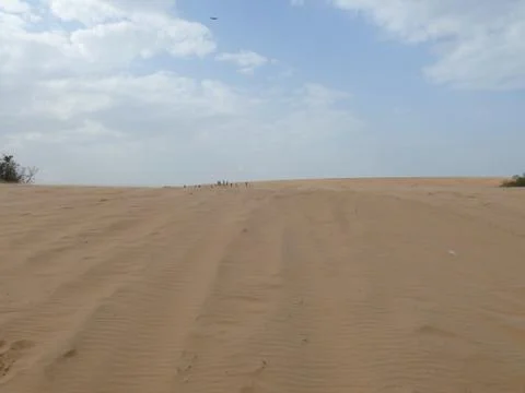 Dune Stock Photos