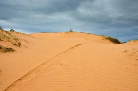 The dune. Stock Photos