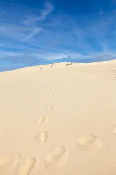 Dune of Pilat Stock Photos