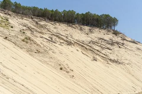 Dune of Pilat Stock Photos