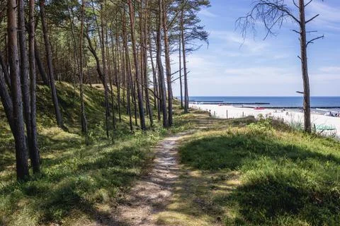 Dune in Poland Stock Photos