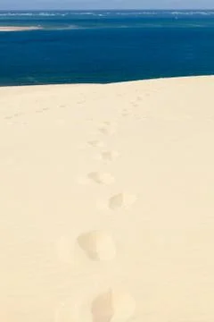 Dune of Pyla Stock Photos