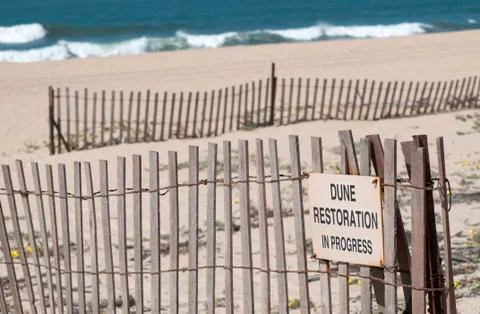 Dune restoration Stock Photos