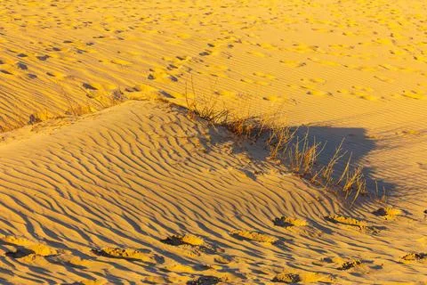 Dune ripple with wind carved patterns under sunset light Stock Photos