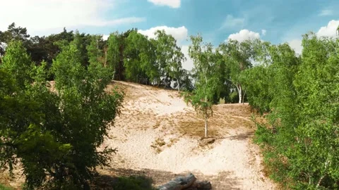 Dune on the river Warta Stock Footage 157001748