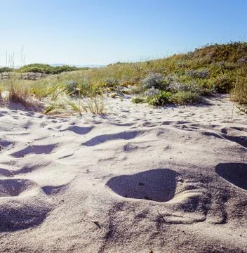 Dune of sand on the beach Stock Photos