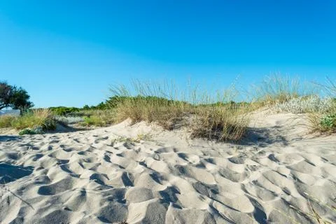 Dune of sand on the beach Stock Photos