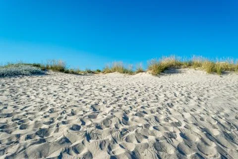 Dune of sand on the beach Stock Photos
