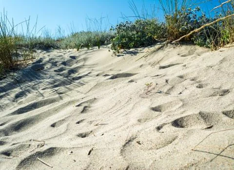 Dune of sand on the beach Foto stock