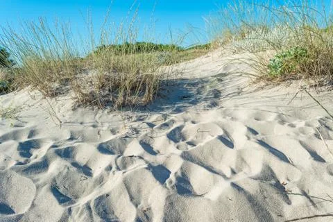 Dune of sand on the beach Stock Photos