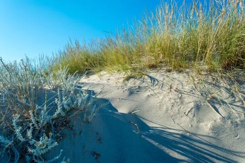 Dune of sand on the beach Stock Photos